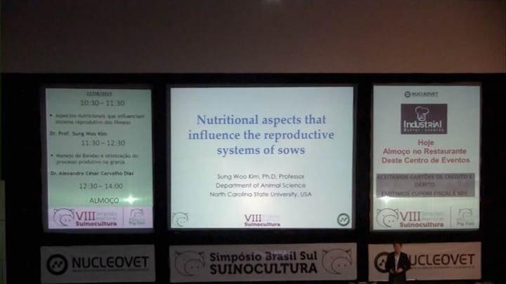 Nutritional aspects that influence sows reproductive system