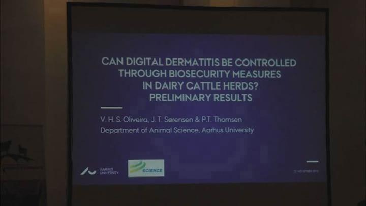 Can digital dermatitis be controlled through biosecurity measures in dairy cattle herds? Preliminary results