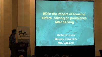 BDD: the impact of housing before calving on prevalence after calving 