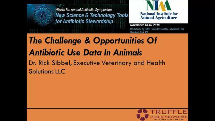 The Challenge Opportunities of Antibiotic Use Data in Animals