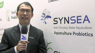 Compound probiotic tailor-made for aquaculture animals