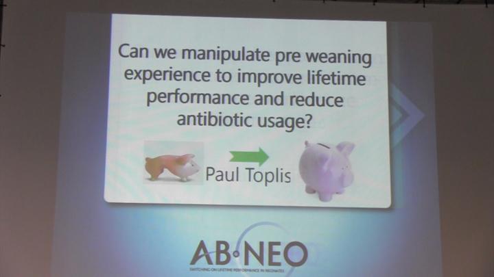 Can we manipulate pre weaning experience to improve lifetime performance and reduce antibiotic usage?