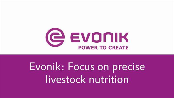 Focus on precise livestock nutrition