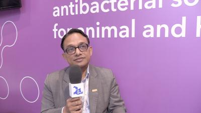 Bacteriophages to improve animal health