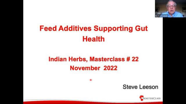Feed additives supporting Gut Health