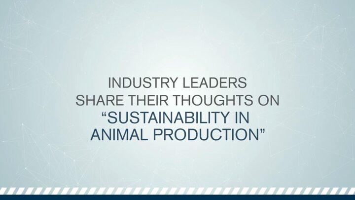 Sustainability in animal production: Industry leaders share their thoughts on it
