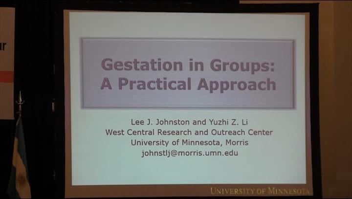 Gestation in Groups. Lee J. Johnston (University of Minnesota)