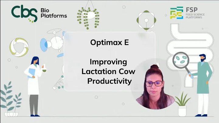 Improving lactation cow productivity - Optimax E