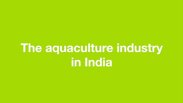 The aquaculture industry in India