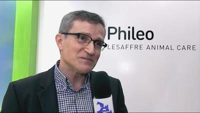 Poultry solutions by Phileo Lesaffre Animal Care. Alain Riggi