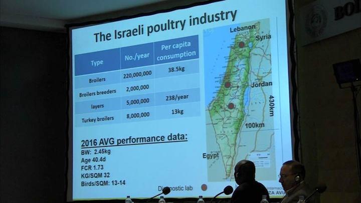 Udi Ashash talks about avian influenza outbreaks and vaccines in Israel