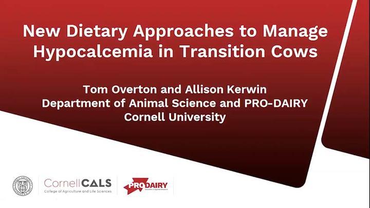 New Dietary Approaches to Manage Hypocalcemia in Transition Cows