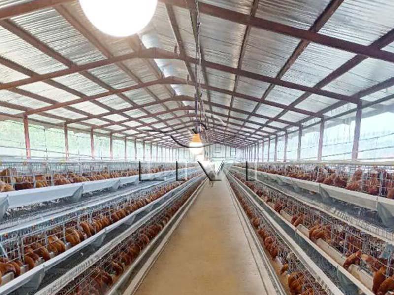 Layer battery chicken cage system for sale - 1