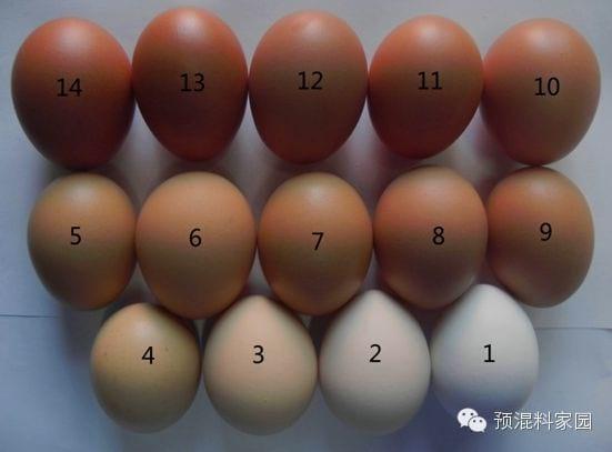 The shell shade guide and nutritional factors affecting egg shell color