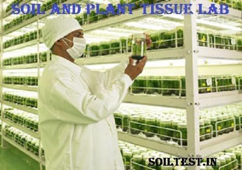 Soil and Plant Nutrients Laboratory