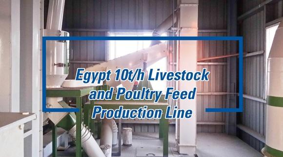 A Safe and Efficient Feed Production Line Built in Egypt