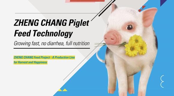 ZHENG CHANG Piglet Feed Technology