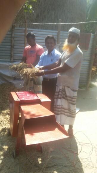 Vaue addition to rice straw for dairy production in Bangladesh