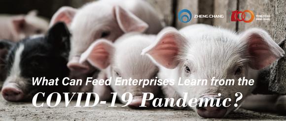 What Can Feed Enterprises Learn from the COVID-19 Pandemic?
