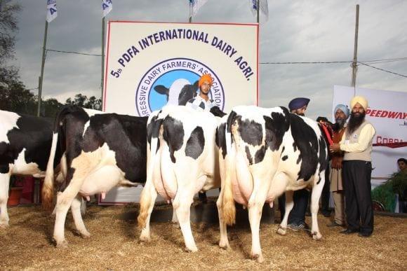 PDFA Dairy and Agri Expo 2011, Glimpses