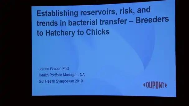 Establishing Reservoirs, Risk and Trends in Bacterial Transfer - Breeders to Hatchery to Chicks