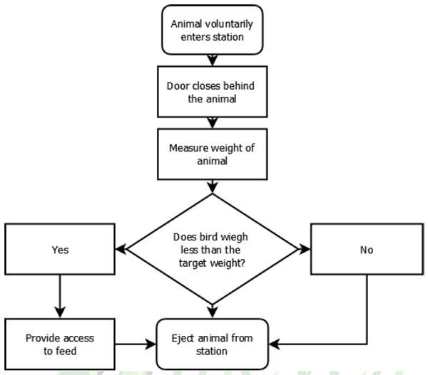 Feeding Algorithm Factors that Affect Feed Intake in Heavy Hens | Engormix