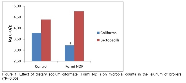 Formi Ndf The impact of dietary diformates (Formi NDF) on gut health in poultry ...