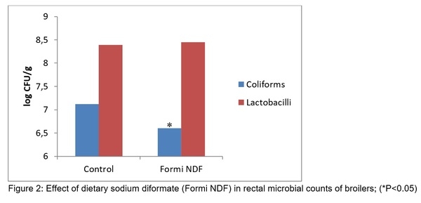 Formi Ndf The impact of dietary diformates (Formi NDF) on gut health in poultry ...