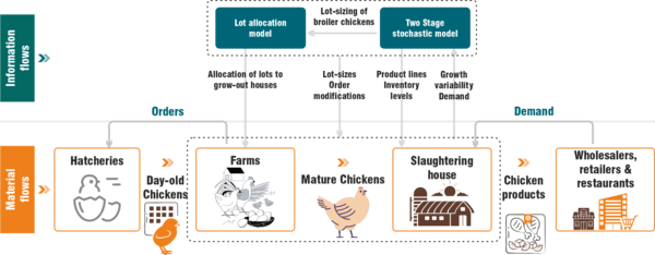 Value Chain Rabbitry Levelling Up-Value Chain Driving Inclusive Growth In Poultry Industry ...
