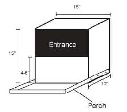 Basics for Raising Backyard Chickens - Image 3