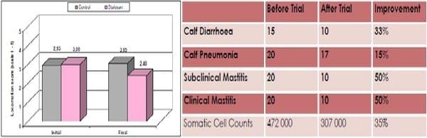 Effect of Stalosan F powder application on the improvement of animal welfare in cattle stables - Image 3