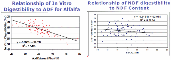 Using Digestible NDF to Determine Forage Quality - Image 2