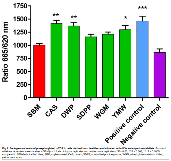Dietary protein sources differentially affect microbiota, mTOR activity and transcription of mTOR signaling pathways in the small intestine - Image 6