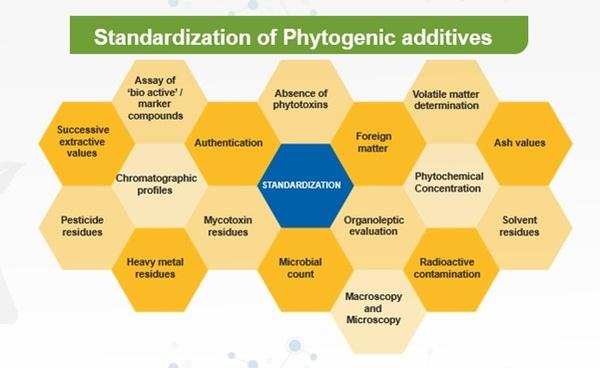 Natural Remedies Standardized Botanical Powder (NRSBP™), a new concept in phytochemicals - Image 3