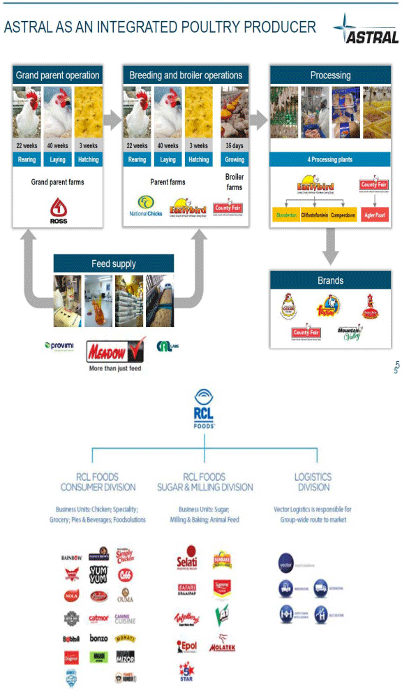 APPENDIX I The integrated structures of the two biggest producers in the South African poultry industry