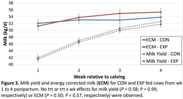 The effect of feeding zeolite A during the prepartum period on peripartum performance in multiparous Holstein Cows - Image 3
