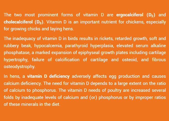 Which are the deficiency diseases of vitamin D in birds?