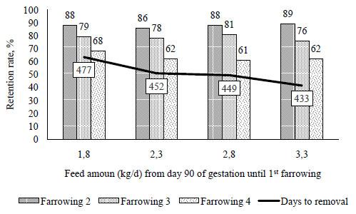 Retention rate and days to removal over four parities of gilts fed with different feed amounts during late gestation of the first reproductive cycle - Mallmann et al. (2020) – data not published.