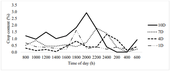 Figure 1. Effect of dark exposure and time of day on crop content expressed as a percentage of body weight. The dark periods corresponding to the lighting treatments are as follows: 2000 to 600 (10D), 2300 to 600 (7D), 200 to 600 (4D), and 500 to 600 (1D).