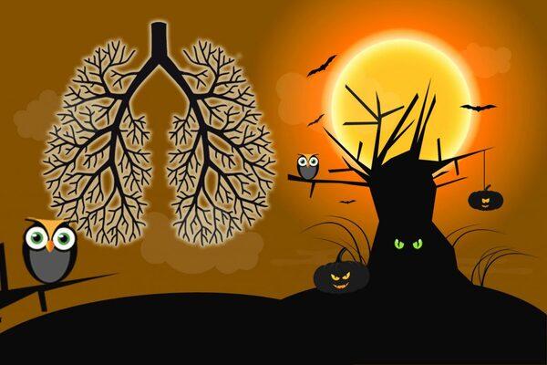 Respiratory diseases are scary, but essential oils can help! - Image 1