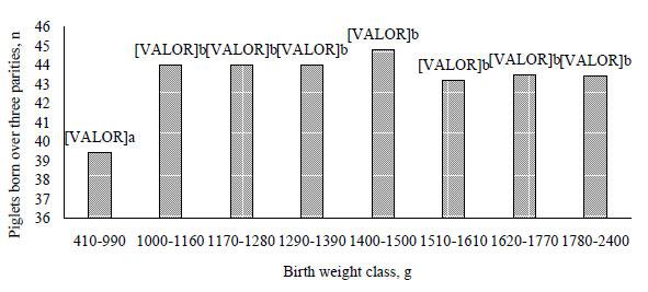 Total piglets born over three parities (n = 497) according to the birth weight of swine females. Bars with one letter in common are not significantly different (P > 0.05) - Magnabosco et al. (2016).