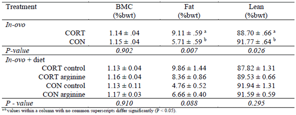 Table 2 - Day 35 body composition of female chicken meat birds subjected to in-ovo CORT or CON treatment as well as birds fed an arginine supplemented diet or control diet. Values are average mean (%bwt) ± SEM.