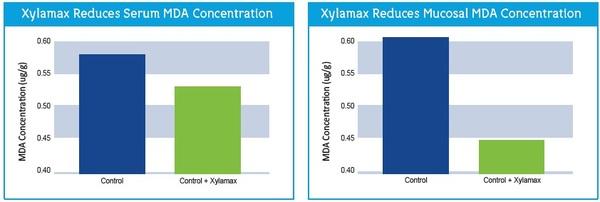 The Effects of Xylanase on Poultry Gut Health - Image 7