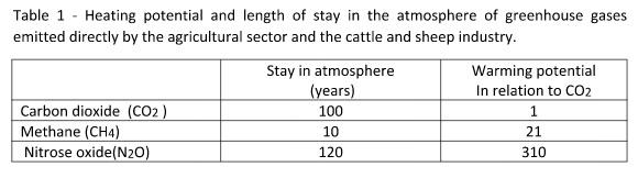 Don’t put the blame on cattle breeding when dealing with global warming - Image 1