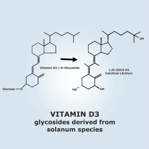 Vitamin D3, Alpha Vitamin for Poultry in its Most Active Form - Image 2
