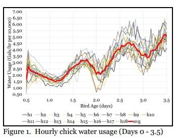 Do Chicks Benefit From 24 Hours of Light? - Image 1
