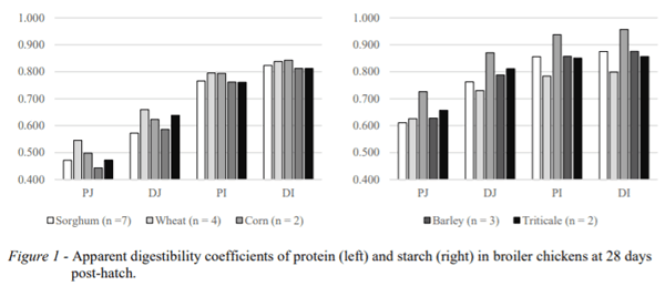 AUSTRALIA - DIGESTION RATES OF STARCH BUT NOT PROTEIN VARY IN COMMON CEREAL GRAINS USED IN BROILER DIETS - Image 1