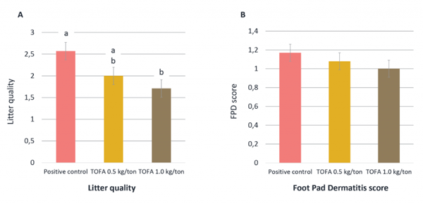 Figure 2. Effect of Progres® (TOFA) at 0.5 kg/ton or 1.0 kg/ton on litter quality (A) and foot pad dermatitis score (B), in comparison to the Lincomycin-treatment (Positive control). Different letter (a, b), denotes for statistical difference between the treatments (p < 0.05). All treatments had statistically similar FPD-scores.