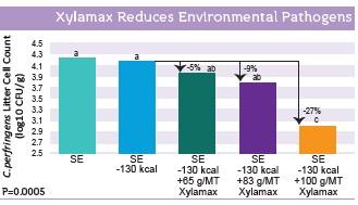 The efficacy of Xylamax in commercial broiler performance. - Image 3