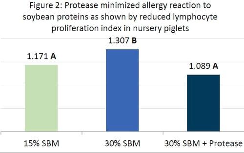 Alleviating Soybean Allergenic Proteins Hindering Nursery Performance - Image 2